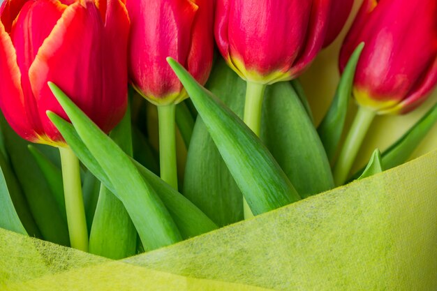 Bouquet di primavera bella di tulipani rossi