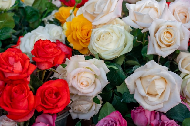 bouquet di rose bianche e rosse nel mercato dei fiori, flora.