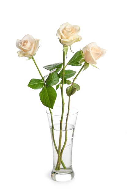 Bouquet di rose di bellezza in vaso di vetro isolato su sfondo bianco