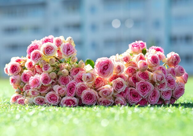 Bouquet di rose rosa su erba verde