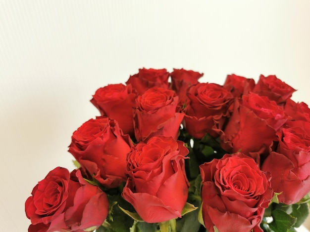 Bouquet di rose rosse da vicino su uno sfondo bianco