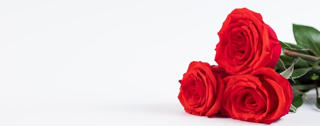 Bouquet di rose rosse e cuori su sfondo bianco San Valentino 14 febbraio Posto per il testo