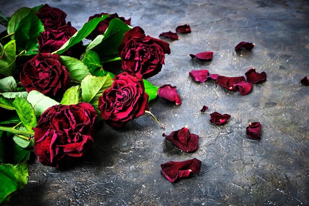 Bouquet di rose rosse sbiadite con petali morti sul pavimento.