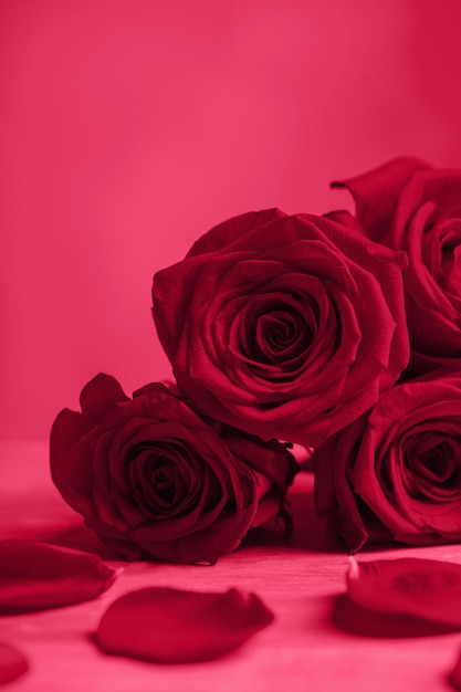 Bouquet di rose rosse su sfondo rosso