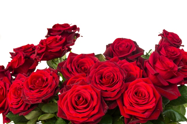 Bouquet di rose rosso scuro vicino isolato