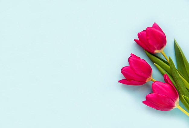 Bouquet di tulipani belli