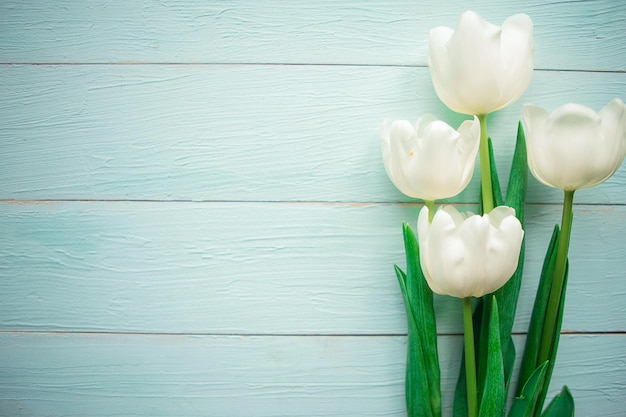 Bouquet di tulipani bianchi su sfondo di legno Vista superiore piatta dello spazio di copia Cartella di auguri per la Pasqua o la Giornata delle Madri
