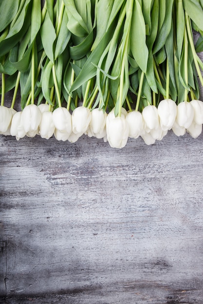 Bouquet di tulipani bianchi