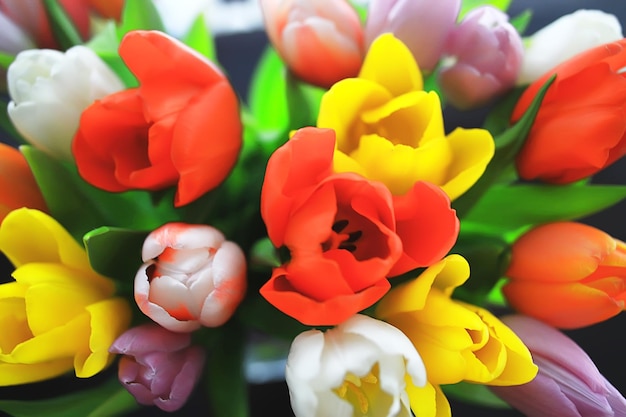 bouquet di tulipani colorati / fiori primaverili, bellissimi fiori luminosi, concetto regalo primaverile