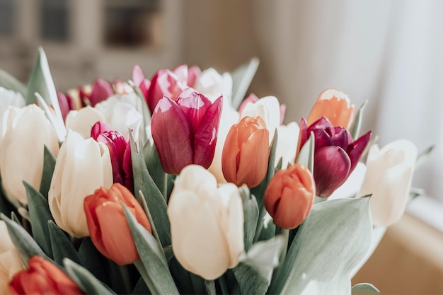 Bouquet di tulipani colorati luminosi Bellissimo sfondo floreale Fiori di primavera Copia spazio