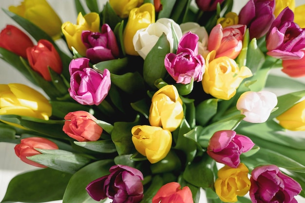 Bouquet di tulipani colorati luminosi. Bellissimo sfondo floreale. Fiori di primavera. Messa a fuoco selettiva