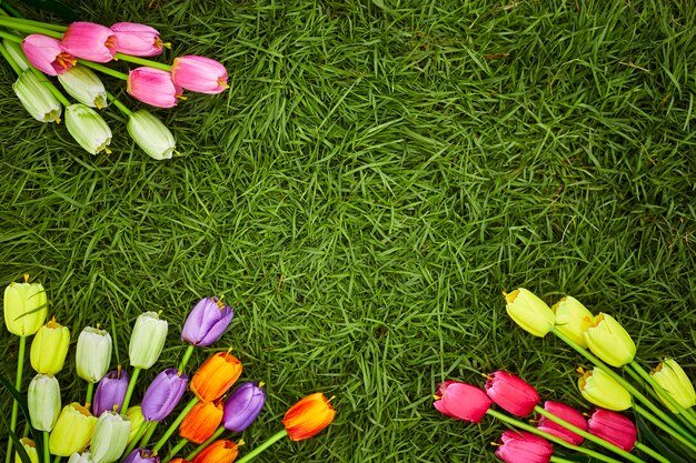 bouquet di tulipani di fronte alla scena di primavera