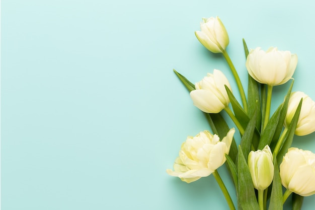 Bouquet di tulipani fiori di primavera isolato