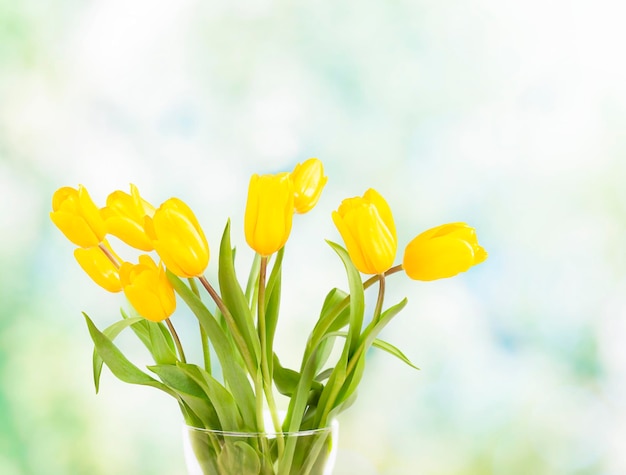 bouquet di tulipani gialli all'aperto su sfondo blu sfocato