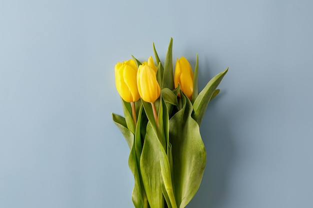 Bouquet di tulipani gialli su sfondo blu Concetto per la festa della donna San Valentino Festa della mamma