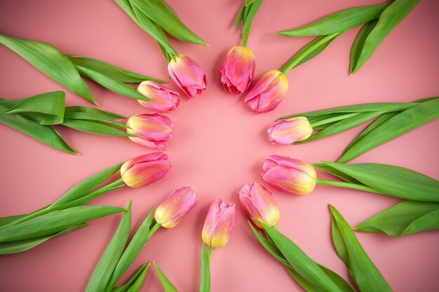 Bouquet di tulipani primaverili su una superficie rosa