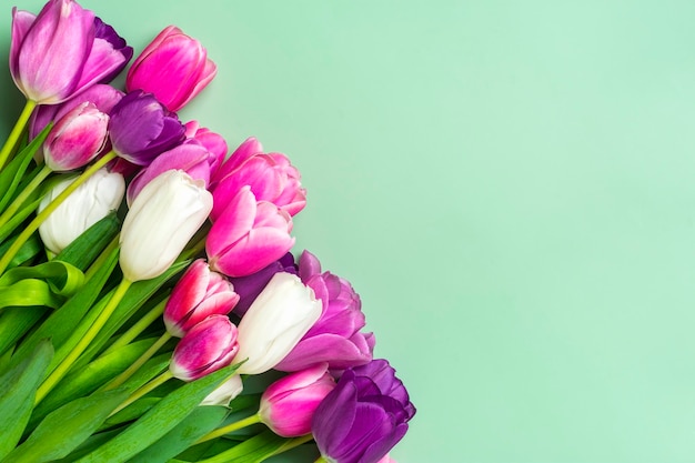 bouquet di tulipani rosa ciao concetto di primavera