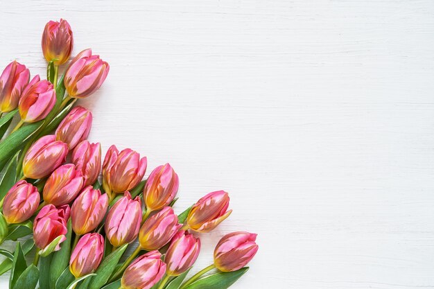 Bouquet di tulipani rosa su bianco