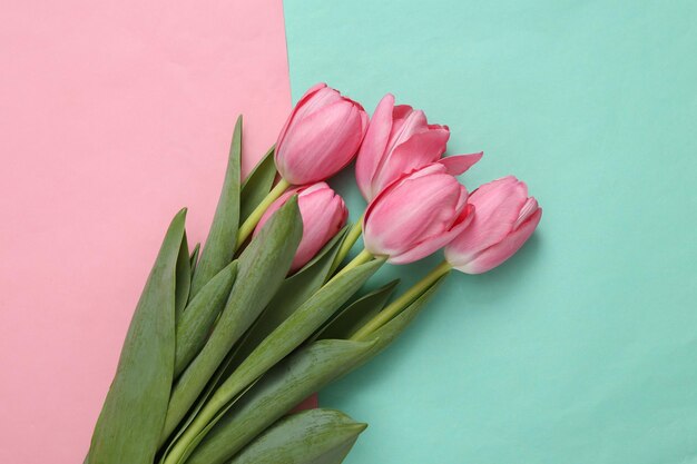 Bouquet di tulipani rosa su sfondo rosa blu Concetto di amore romantico Vista dall'alto