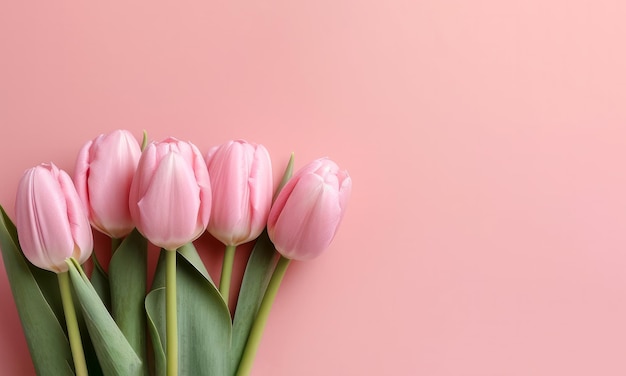 Bouquet di tulipani rosa su sfondo rosa con spazio per la copia