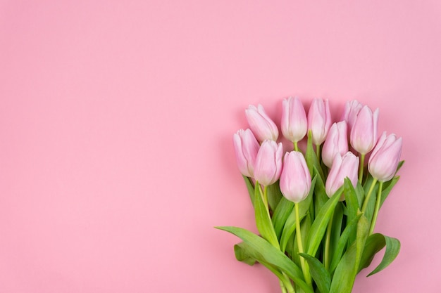 Bouquet di tulipani rosa su sfondo rosa Concetto romantico San Valentino Festa della donna