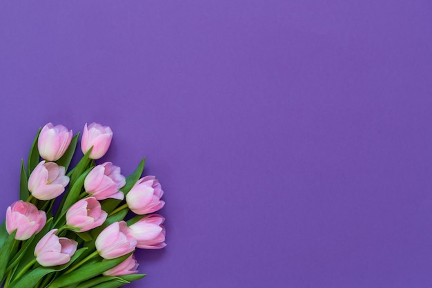 Bouquet di tulipani rosa su viola. Vista dall'alto, copia dello spazio