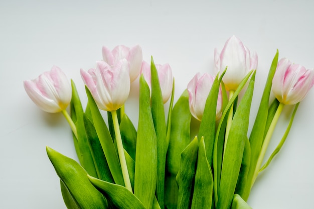 Bouquet di tulipani rosa.