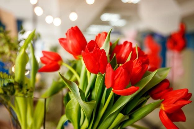 Bouquet di tulipani rossi primaverili in ufficio