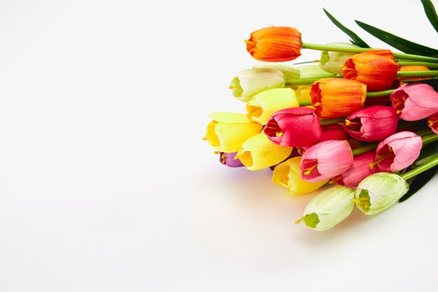 Bouquet di tulipani su sfondo bianco