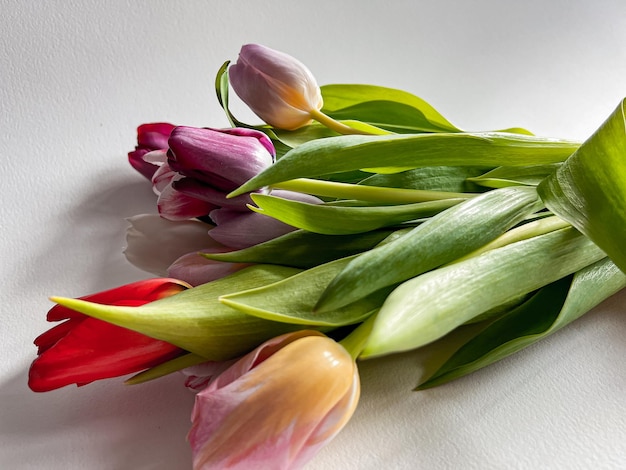 bouquet di tulipani. un mazzo di tulipani freschi per le congratulazioni
