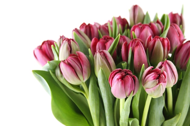 Bouquet di tulipani