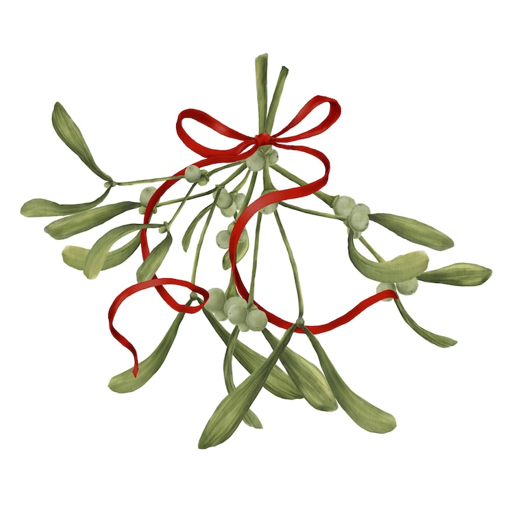 Foto bouquet di vischio con un arco rosso allegro illustrazione ad acquerello in tradizionale digitale