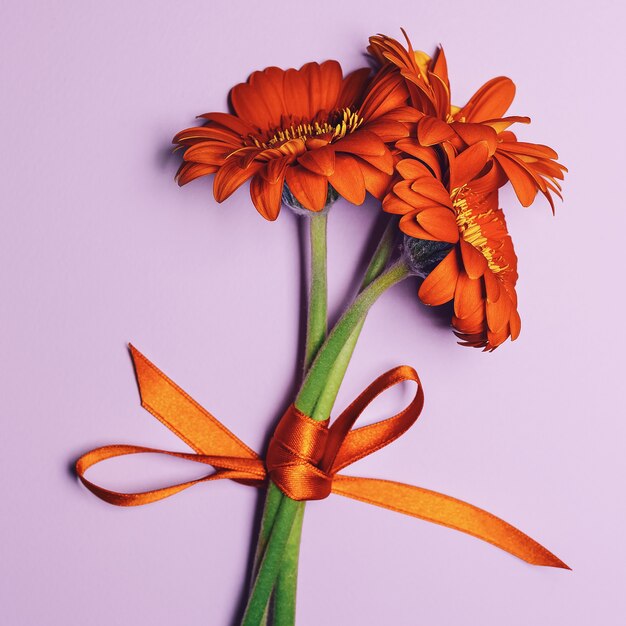 Bouquet Orange Gerber in stile minimalista.