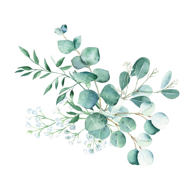 Bouquet verde acquerello eucalipto gypsophila e rami di pistacchio botanici disegnati a mano