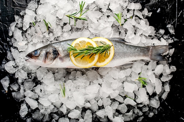 branzino crudo freddo con limone e rosmarino su ghiaccio, su uno sfondo di pietra