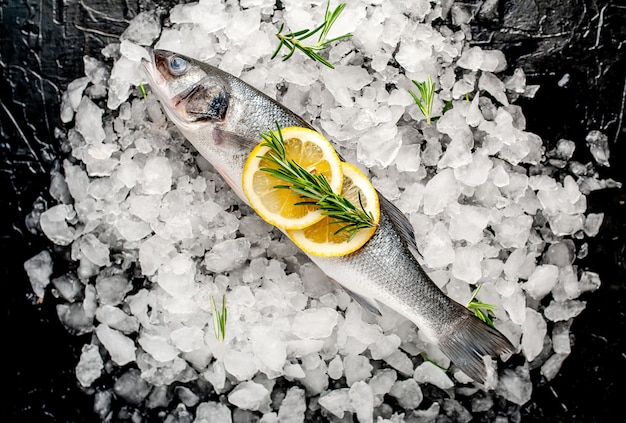 branzino crudo freddo con limone e rosmarino su ghiaccio, su uno sfondo di pietra