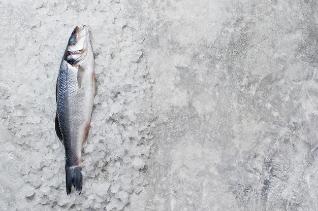 Branzino crudo su ghiaccio.