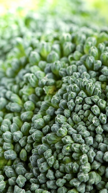 Brassica oleracea var italica Macro colpo di broccoli verdi freschi.