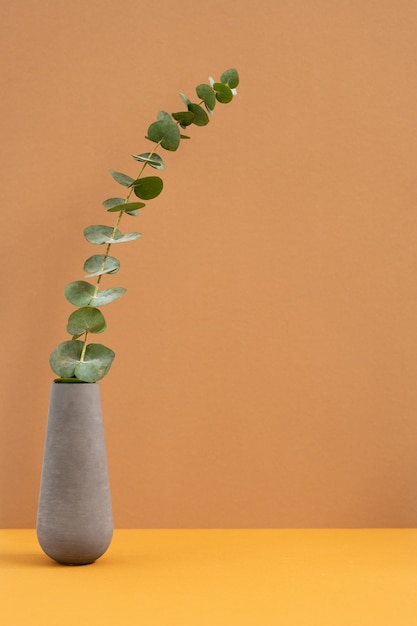 Brocca o vaso in terracotta o ceramica grigia con pianta verde domestica con gambo lungo in piedi sul tavolo di colore arancione su parete marrone chiaro