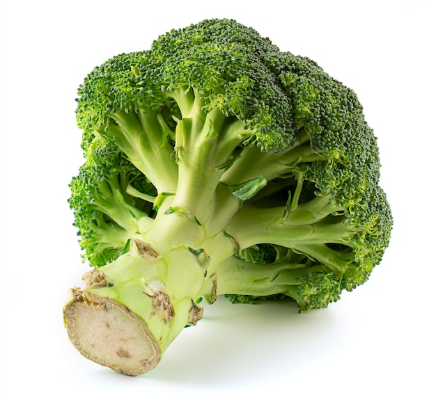 Broccoli della brassica oleracea var italica isolati