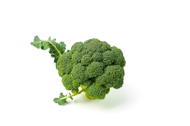 Broccoli freschi isolati su priorità bassa bianca