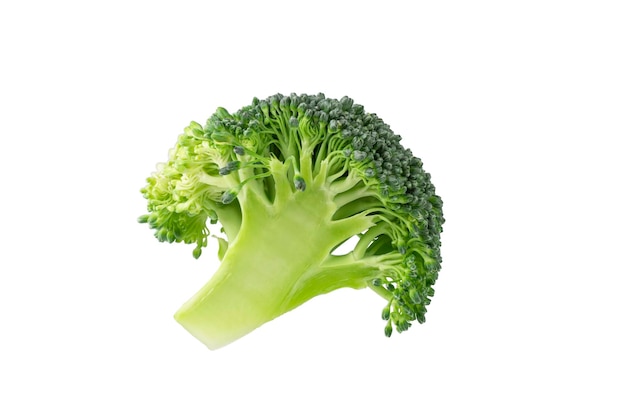 Broccoli freschi isolati su sfondo bianco Fetta di cavolo broccoli per il design