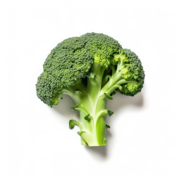 Broccoli isolati su sfondo bianco IA generativa