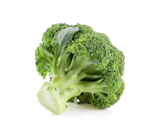 Broccoli isolati su sfondo bianco