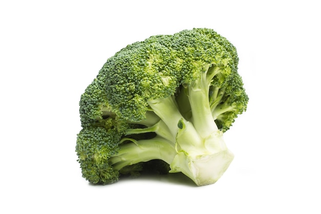 Broccoli isolati su sfondo bianco