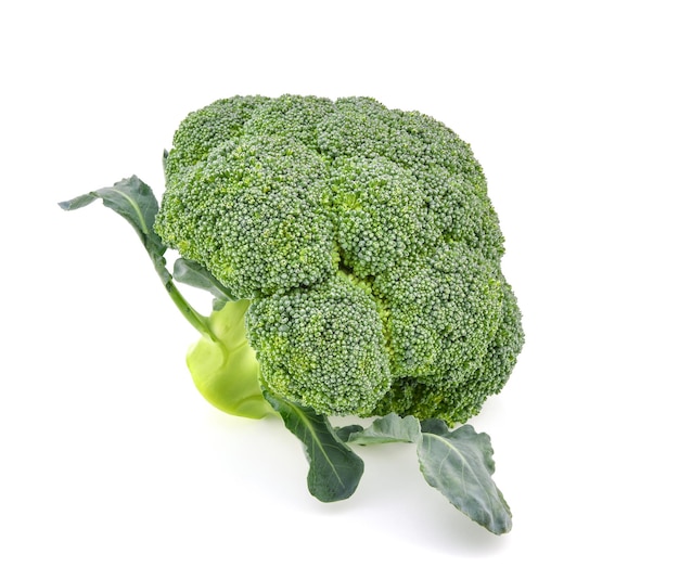 Broccoli isolato su sfondo bianco