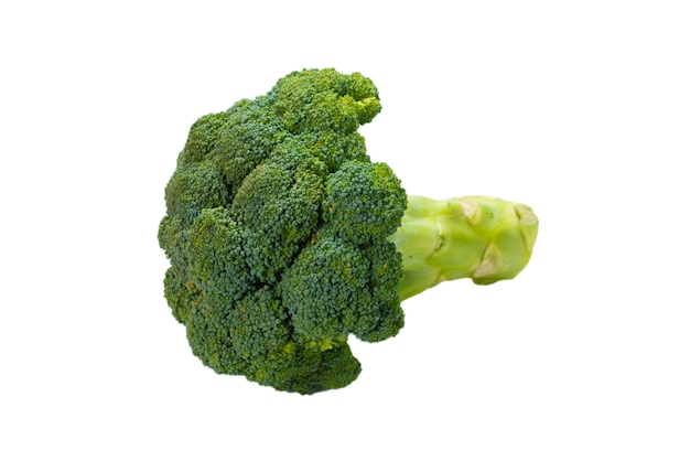 Broccoli saporiti freschi isolati