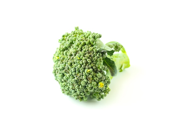 Broccoli su sfondo bianco