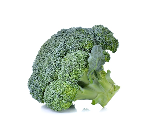 Broccoli su sfondo bianco