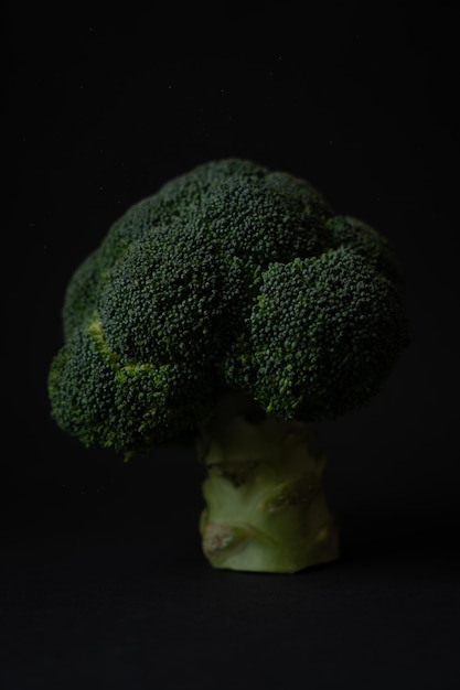 broccoli su uno sfondo scuro